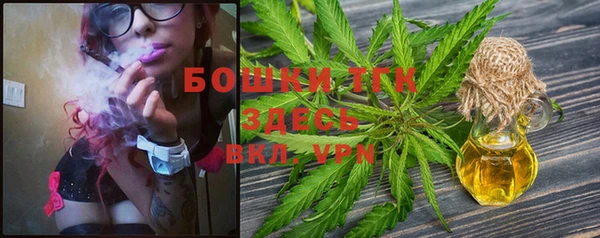 альфа пвп Инта