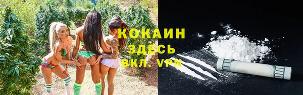 альфа пвп Инта