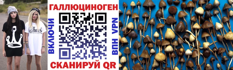 Псилоцибиновые грибы мухоморы Нюрба