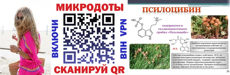 Псилоцибиновые грибы Psilocybe  Купить закладки  Нюрба 